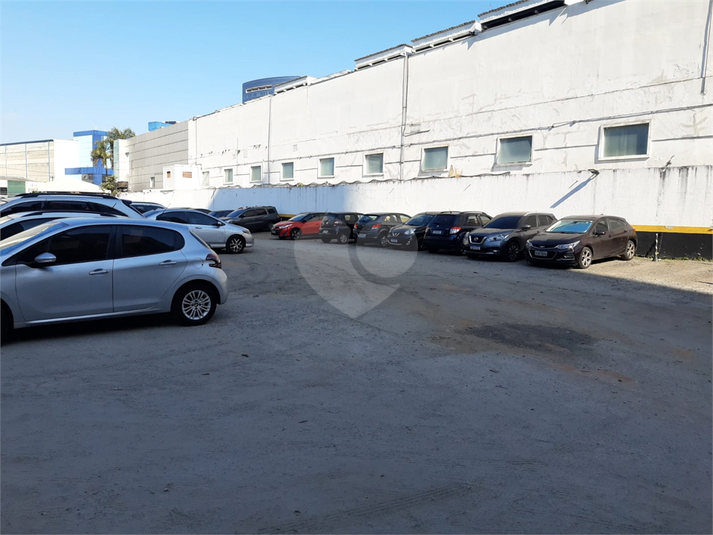 Foto REO1118543