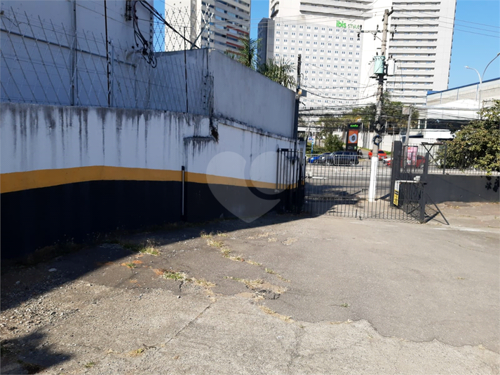 Foto REO1118543