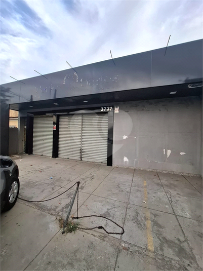 Foto REO1118546