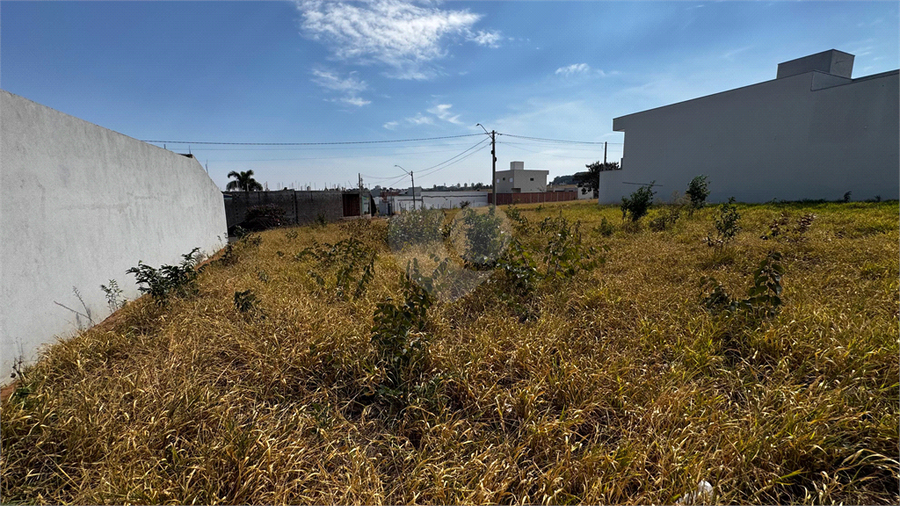 Foto REO1118561