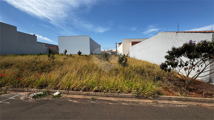 Foto REO1118561