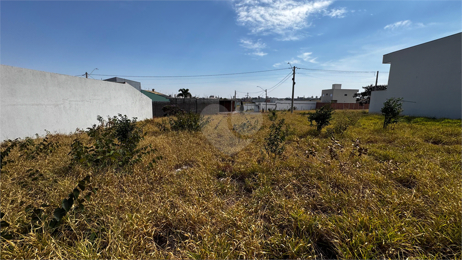 Foto REO1118561