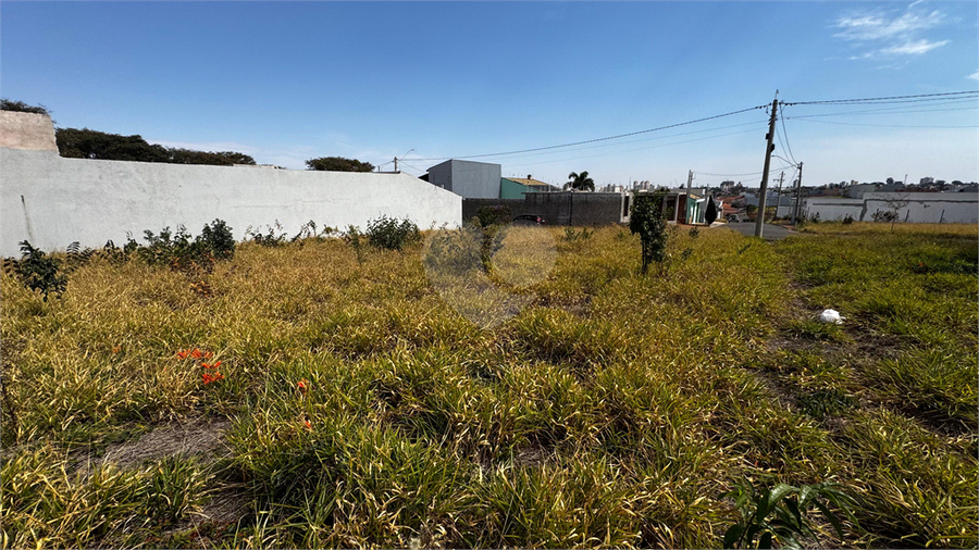Foto REO1118561