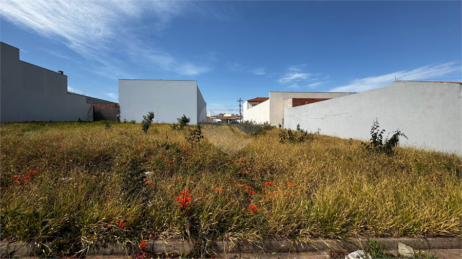 Foto REO1118561
