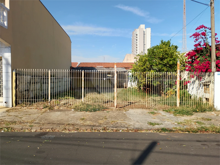 Foto REO1118565