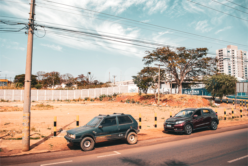 Foto REO1118579