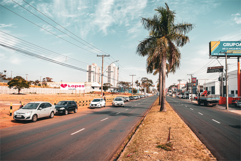 Foto REO1118579