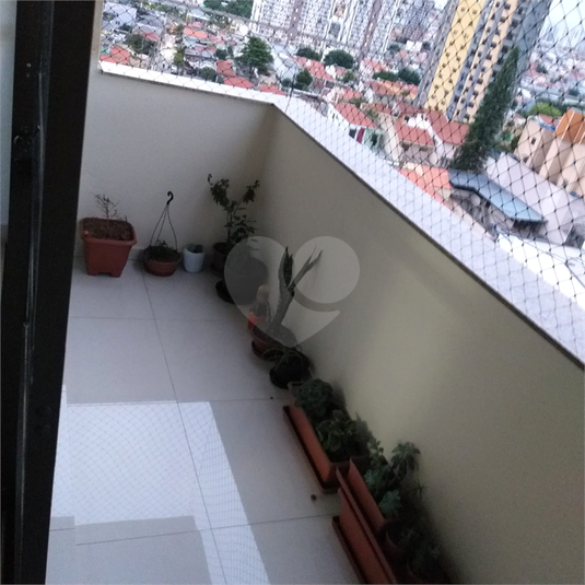 Foto REO1118583