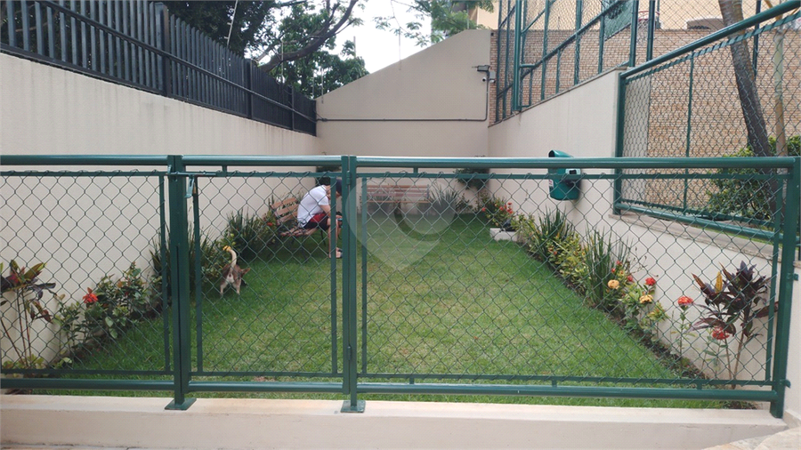Pet Place