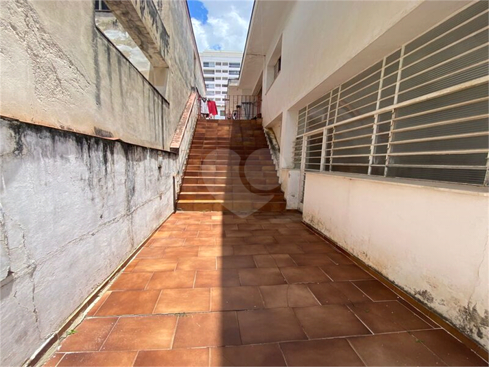 Foto REO1118589