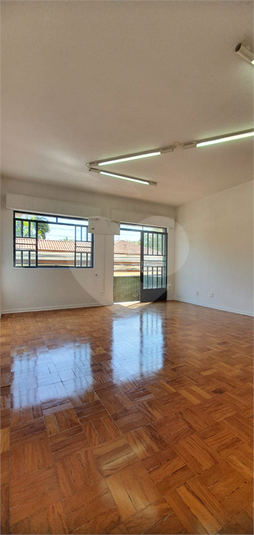 Foto REO1118599