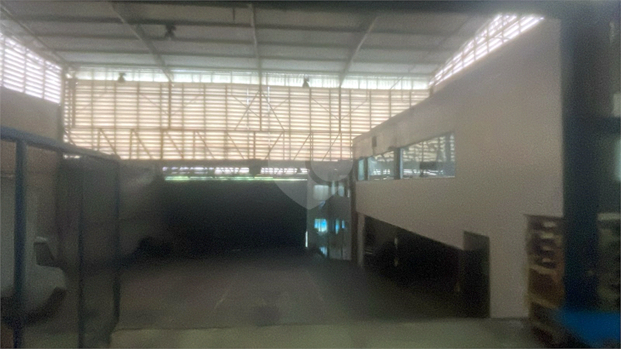 Foto REO1118603