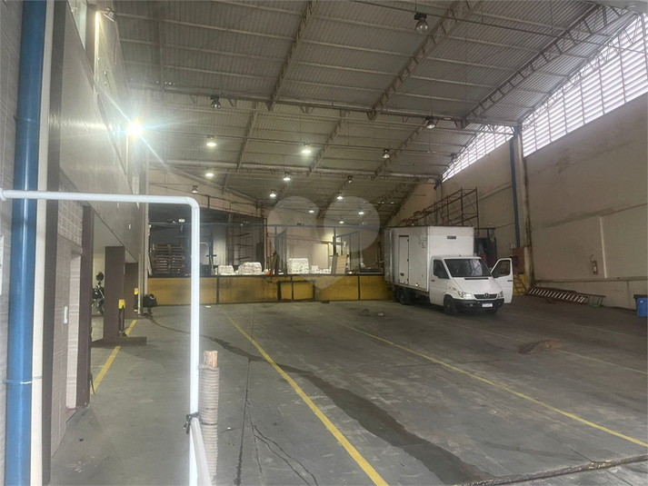 Foto REO1118603