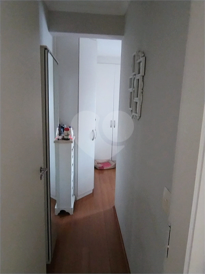 Foto REO1118611