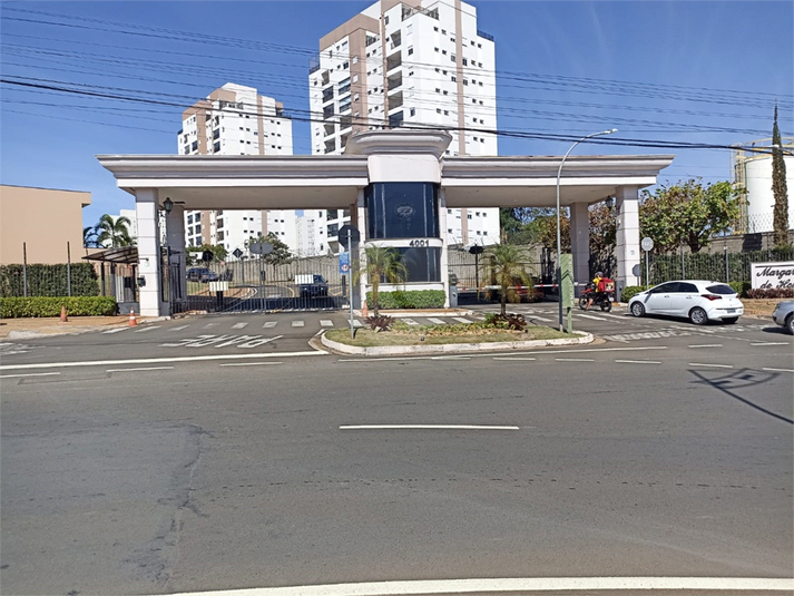 Foto REO1118614