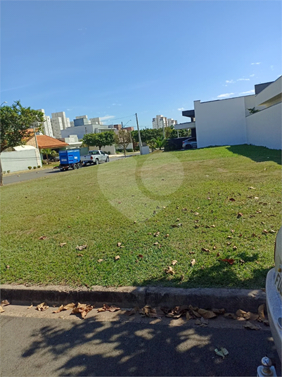 Foto REO1118614