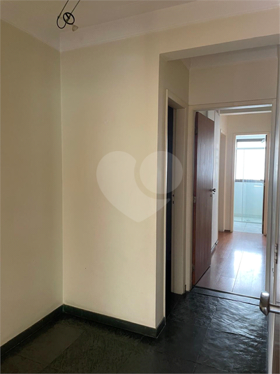 Foto REO1118629
