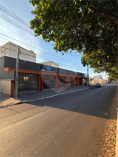 Foto REO1118630