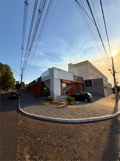 Foto REO1118630