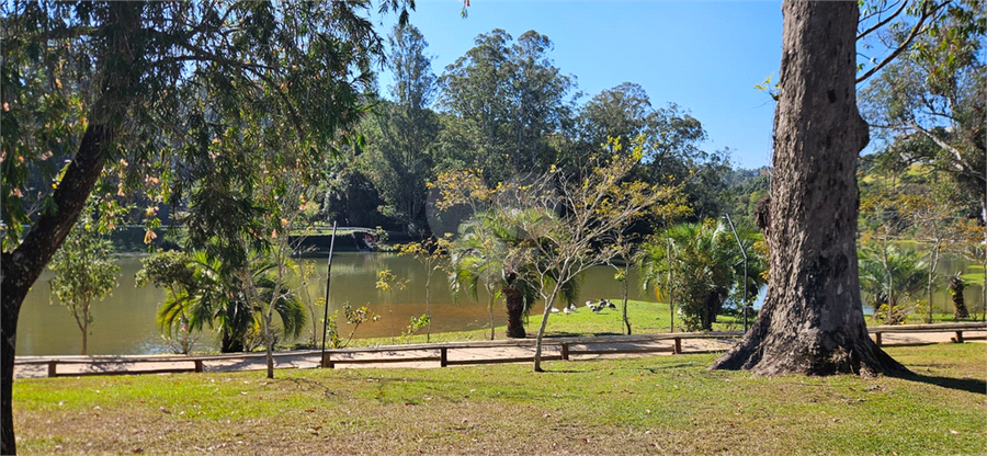 Foto REO1118631