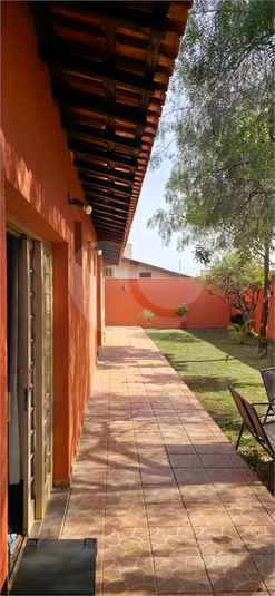 Foto REO1118632