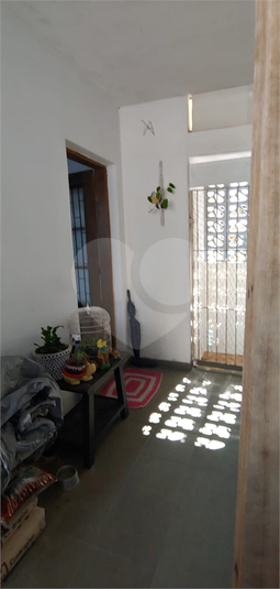 Foto REO1118633