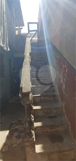 Foto REO1118633