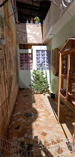 Foto REO1118633