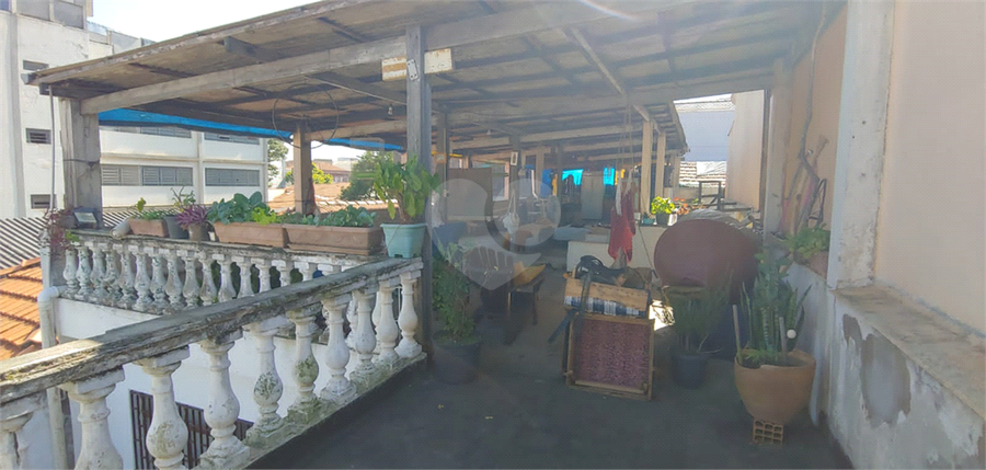Foto REO1118633