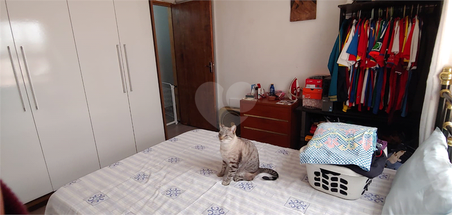 Foto REO1118633