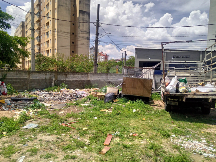 Foto REO1118646