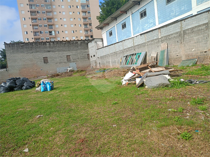 Foto REO1118646