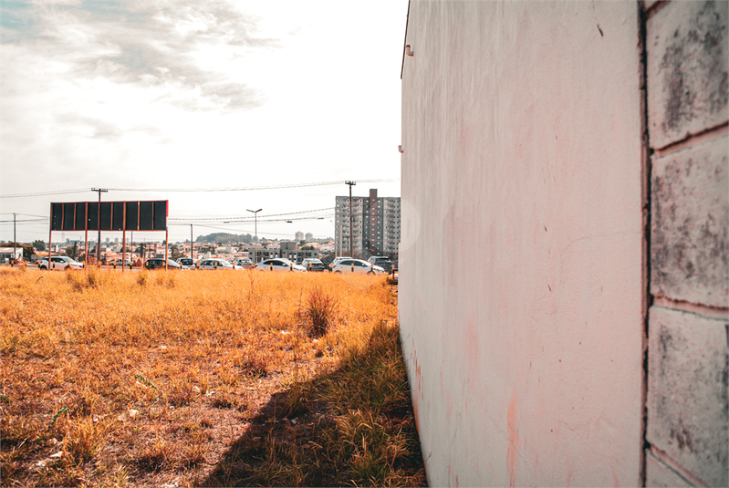 Foto REO1118647