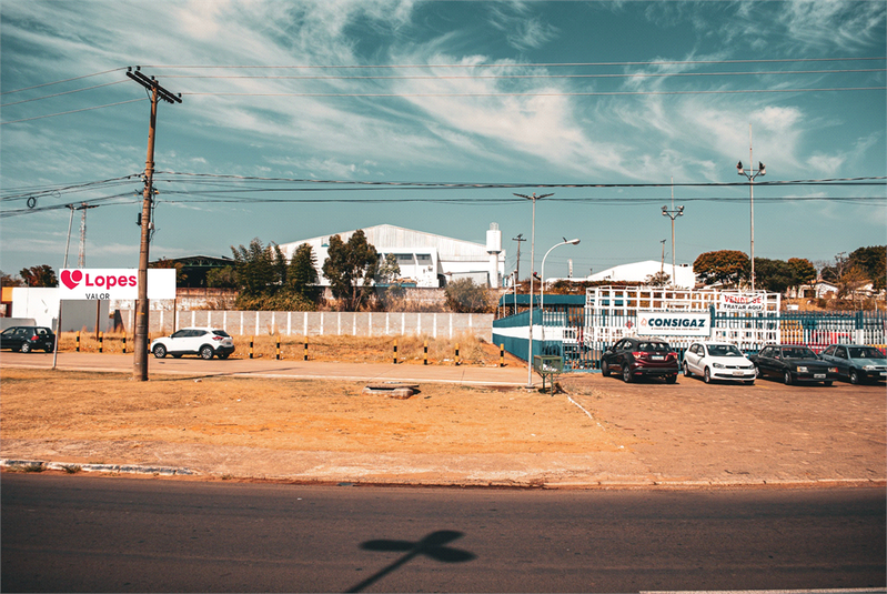 Foto REO1118647