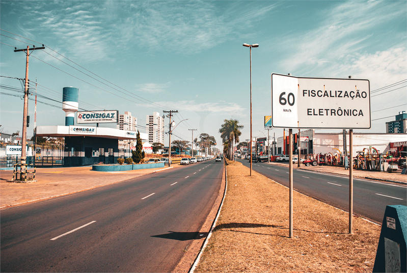 Foto REO1118647