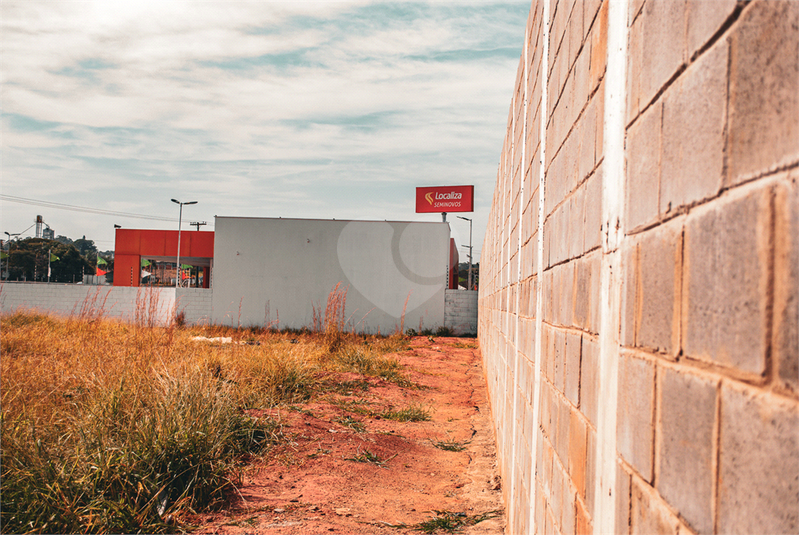 Foto REO1118647