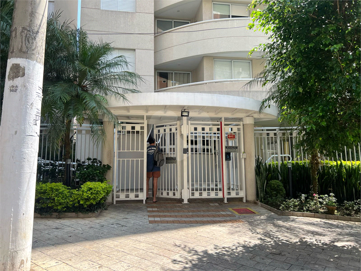 Foto REO1118657