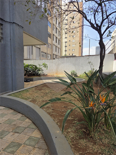 Foto REO1118671