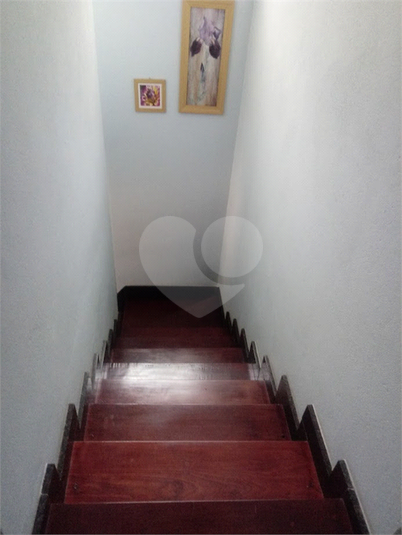 Foto REO1118675