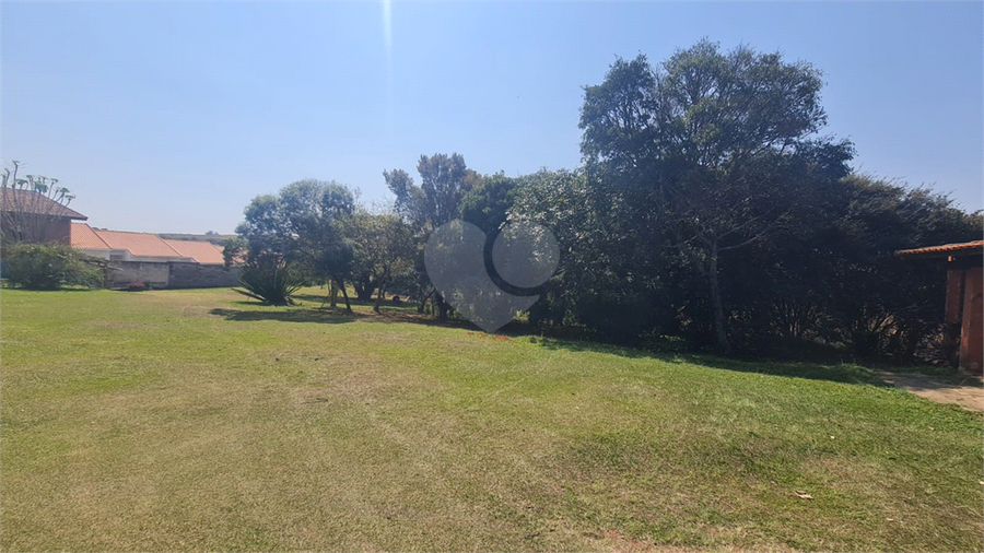 Foto REO1118676