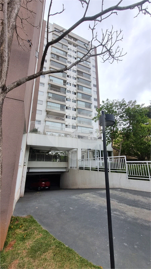 Foto REO1118683