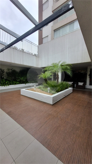Foto REO1118683