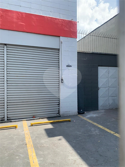 Foto REO1118685