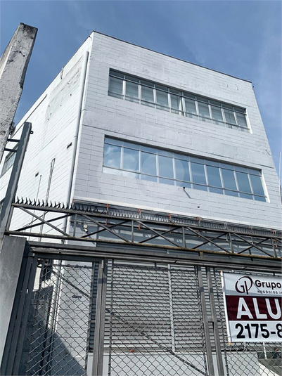 Foto REO1118685