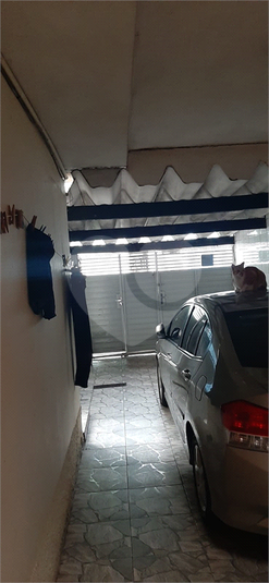 Foto REO1118689