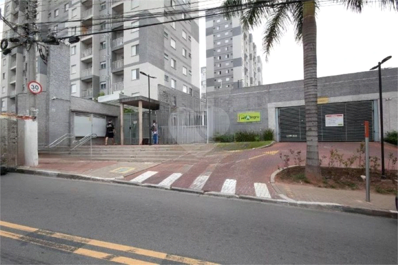 Foto REO1118706