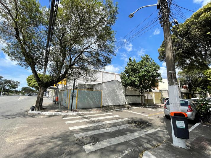 Foto REO1118727