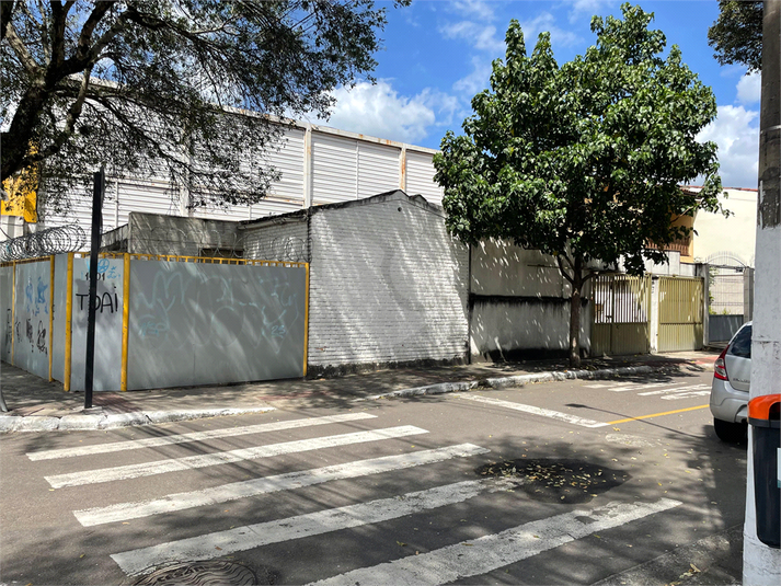Foto REO1118727