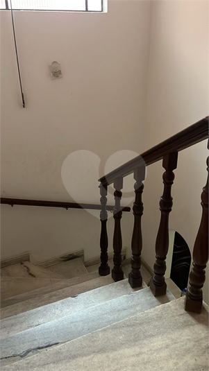 Foto REO1118736