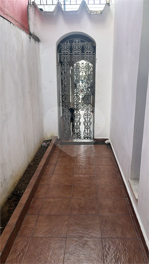 Foto REO1118736